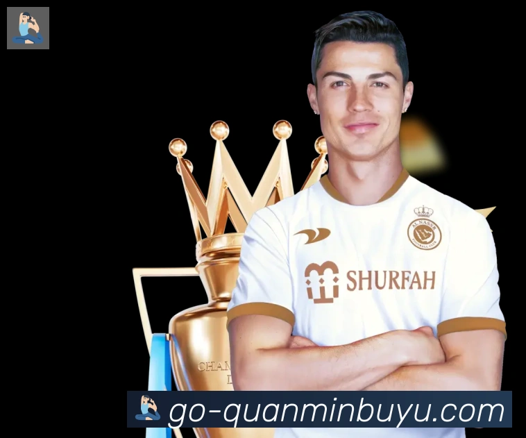 平台展示图
